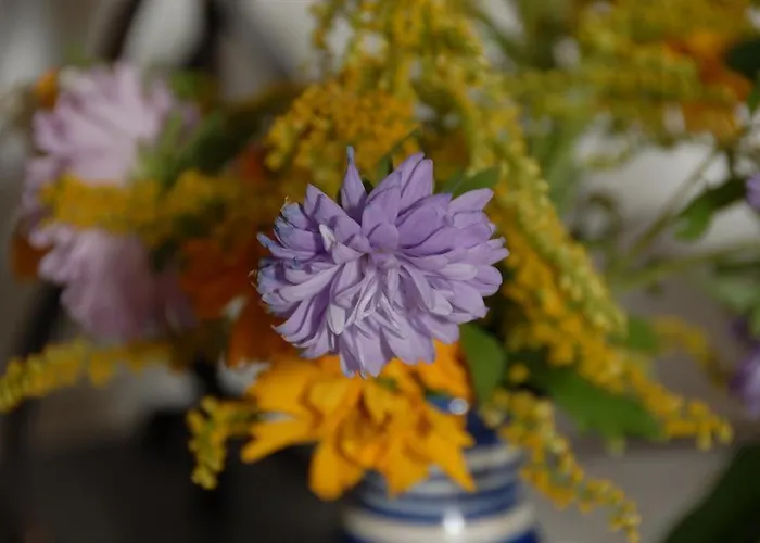 & Fortin 3* Bad Kleinkirchheim